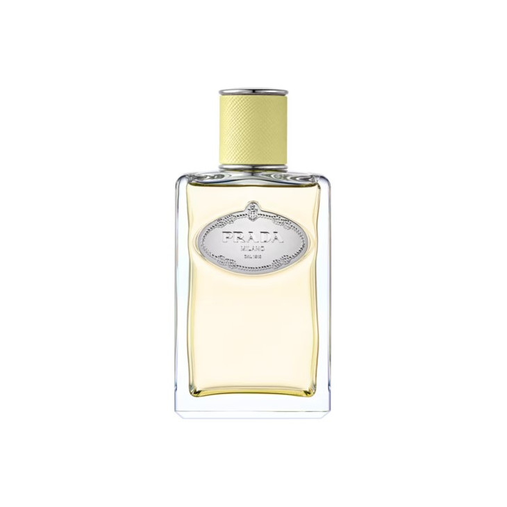 PRADA,INFUSION DE GINGEMBRE